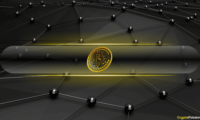 Tariffs to Fuel Bitcoin Surge, Says Bitwise Strategist