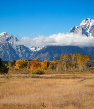 Wyoming’s Future as a Blockchain Leader Hangs in the Balance Without Fair Procurement Processes