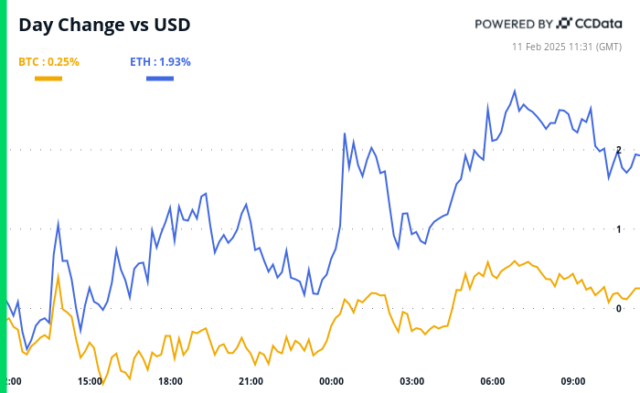 Crypto Daybook Americas: ADA Rallies, BTC Looks to Powell’s Testimony on Capitol Hill