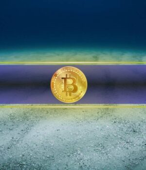 Here’s When Bitcoin Will Bottom and What’s Next: Industry Experts Weigh In