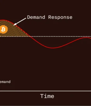 SLICE: Making PPLNS Work for Demand Response