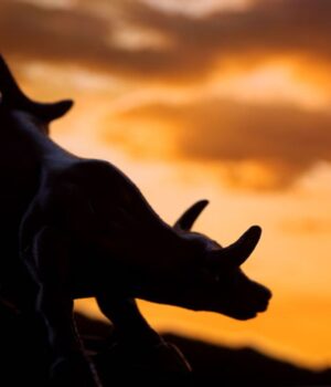 Bitcoin Poised for Strongest Weekly Gain Since Trump Win as ETFs Gobble $2.7B Inflows