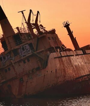 Crypto Daybook Americas: Biggest Tokens Show Restraint for Now, but ‘Damage Has Already Been Done’