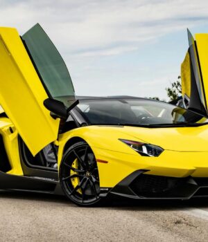 Chart of the Week: Bitcoin Soars, But ‘Wen Lambo’ Crowd Is Missing From the Rally