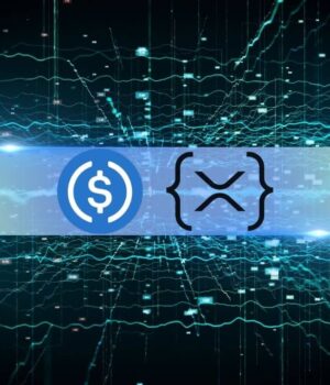Ripple’s XRP Ledger Welcomes the World’s Second-Biggest Stablecoin
